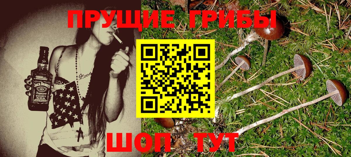 Нальчик  Псилоцибиновые грибы мицелий  Вход с VPN 