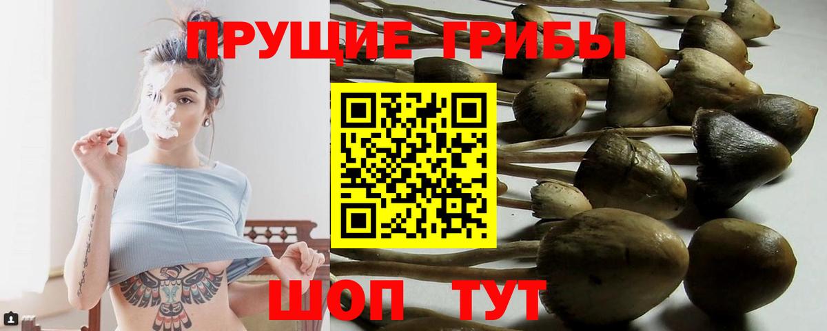 Галлюциногенные грибы ЛСД Нальчик
